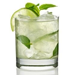 mojito ecomogul