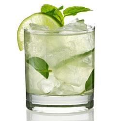 mojito ecomogul